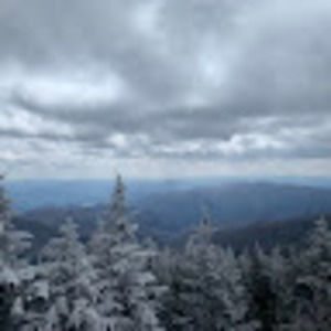 Meet your Posher, Max